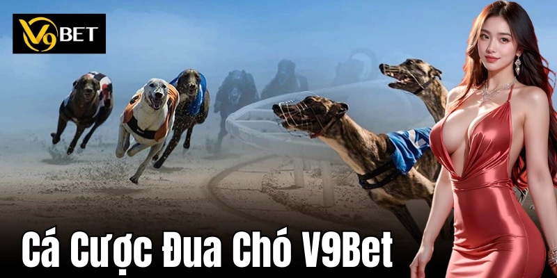 Các hình thức cá cược đua chó phổ biến