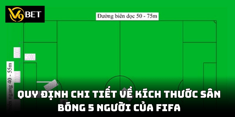 Chi tiết kích thước sân bóng 5 người theo luật